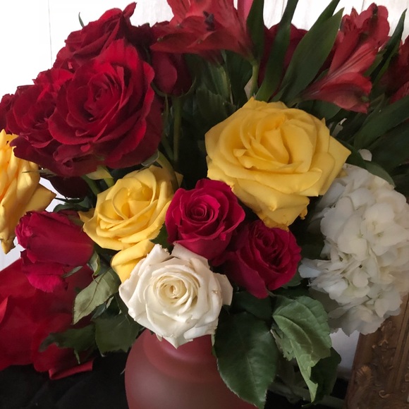 norma_1027